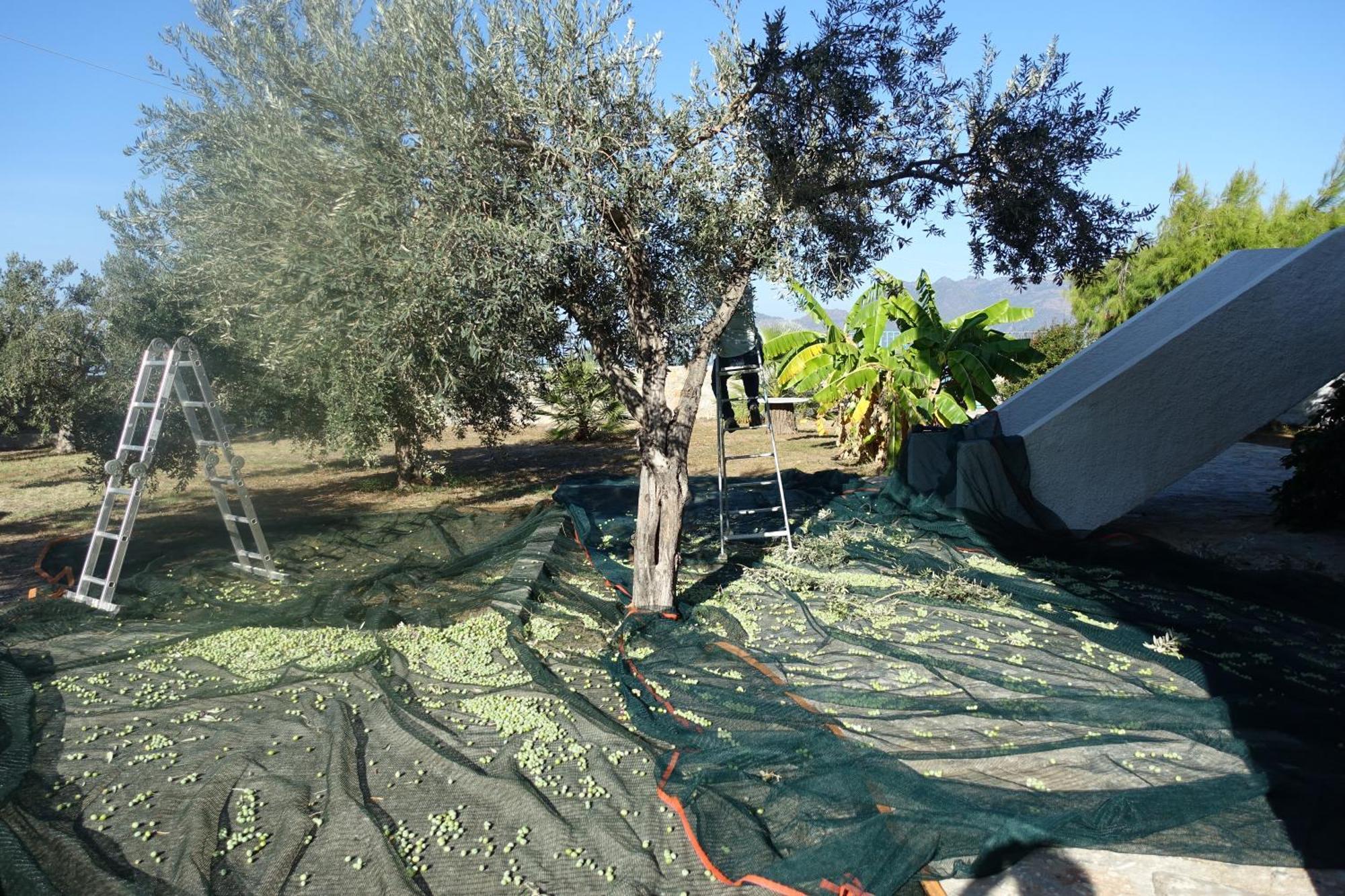 Villa In Kalloni Direkt Am Meer, Tolle Aussicht Екстериор снимка